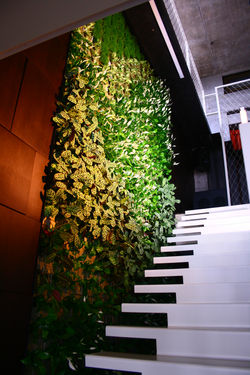 Зеленая стена в квартире, 2012г