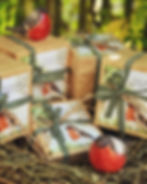 Roodborstjes - troostgeschenken