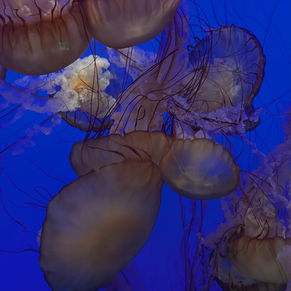 You Were Designed to Heal — Let’s Help You Return to That