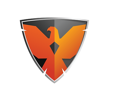 ODS Logo-on-white (2).png
