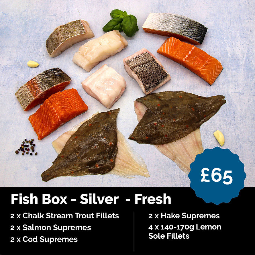 Fish Box - Silver  - Fresh
