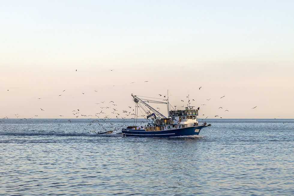 AdobeStock_211877871.jpeg