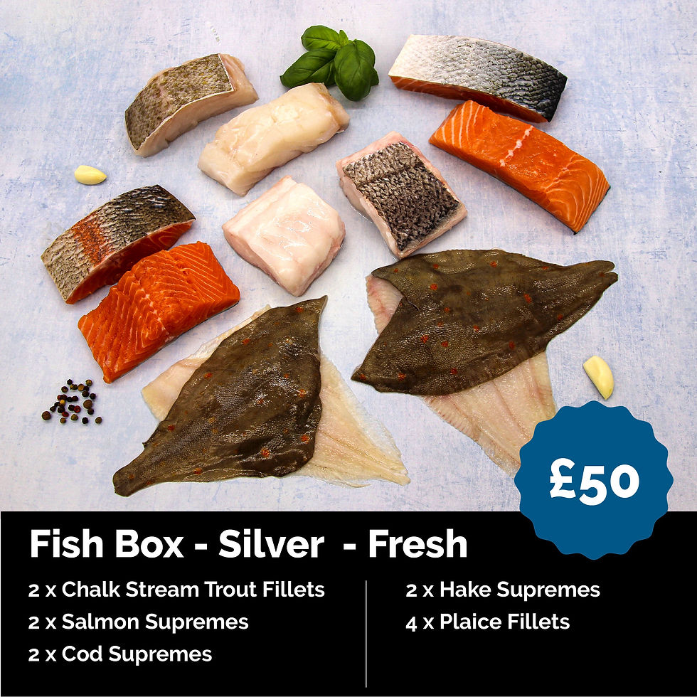 Fish Box - Silver - Fresh