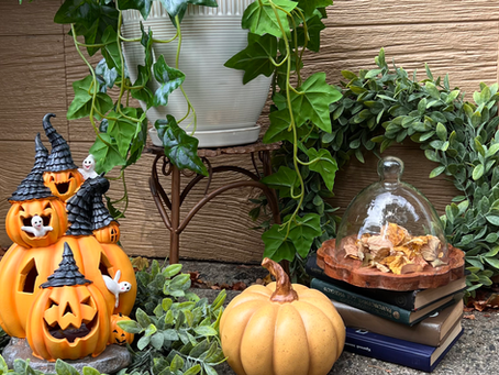 From Gunky to Charming: Our Window Well Glow-Up 🍂✨