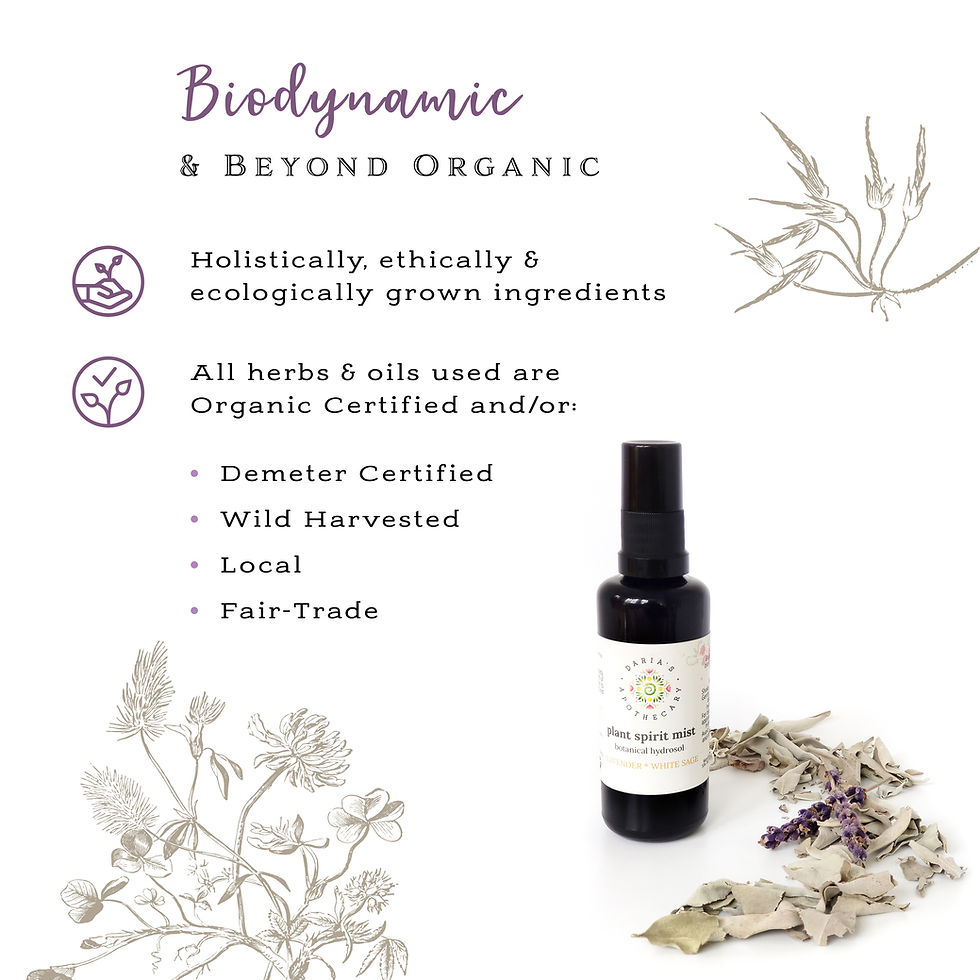 Thumbnail: Hydrosol - Lavender & Sage