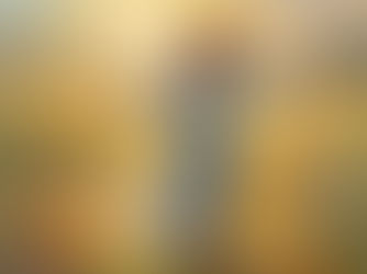 This Is Where the Fun Is