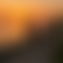 Why Are People Moving to Simcoe County? Here’s What’s Driving the Trend