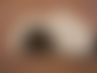 The Significance of the Resurrection