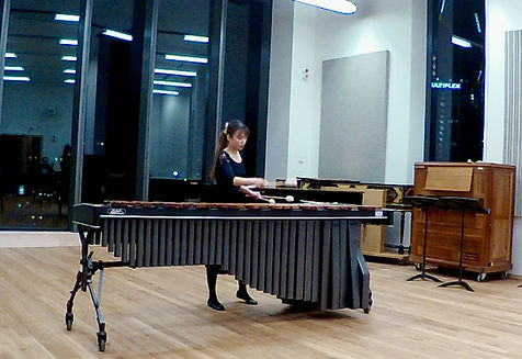 Rising stars piano and percussion studen