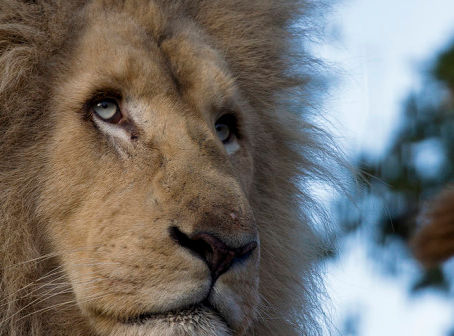 Novidade para o Imposto de Renda em 2016