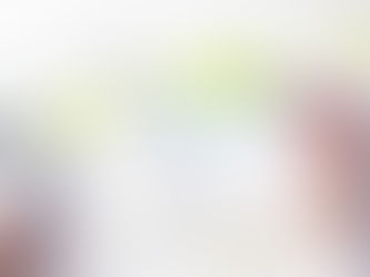 Normas para os Registros Contábeis