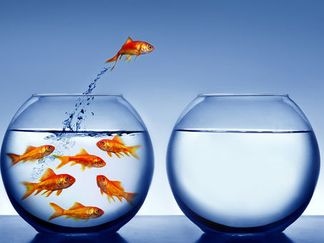 Do Sped à reforma tributária, os vários desafios para 2016