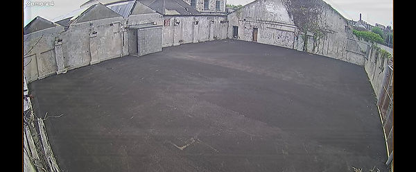 Photo 24-07-2020, 13 24 29.jpg