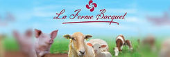 ferme Bacquet.jpeg