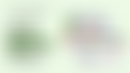 The No-BS Playbook: Eliminate 8 Marketing Time-Wasters Killing Your Team’s Productivity