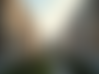 Rental Properties in Udaipur: Your Guide to Udaipur Rental Listings