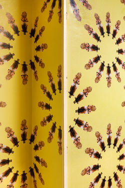 Loge du 8 rue Changarnier