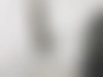 mold removal singapore | The Mold Fix