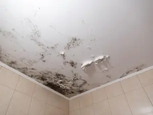 mold on ceiling removal | The Mold Fix