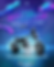 FEED (Bora Acelerar).png