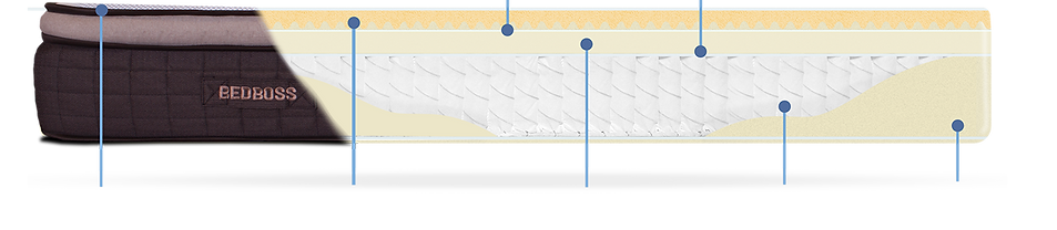 EnduranceSchematicSV_150 copy.png