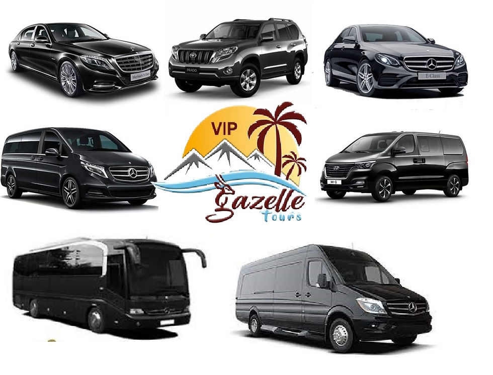 gazelle tours