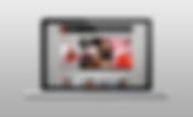 Website Consulting