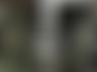 THE WAY WE LIVED.  3. Poverty, Crime and Violence.  [8min read]