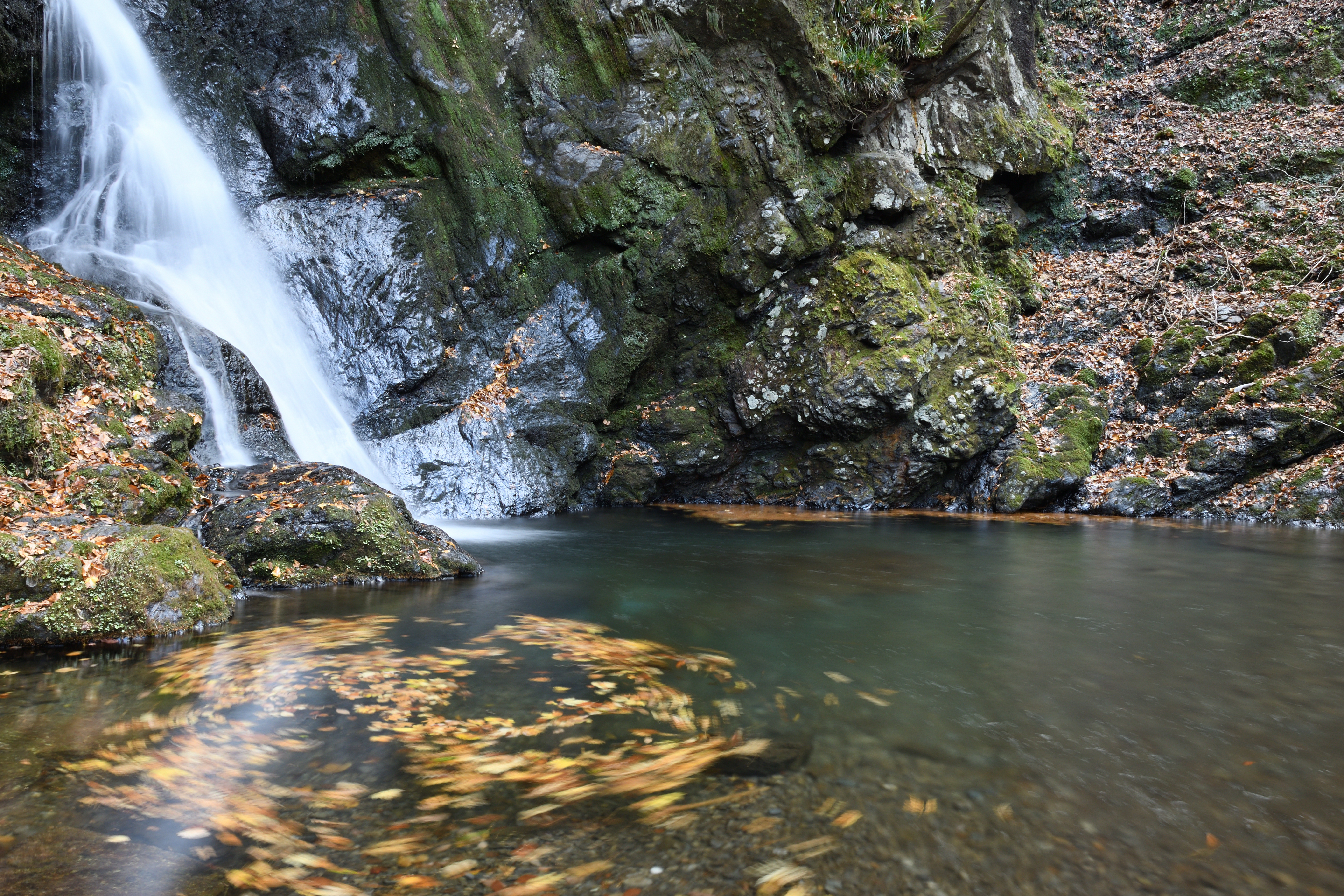DSC_0877_s