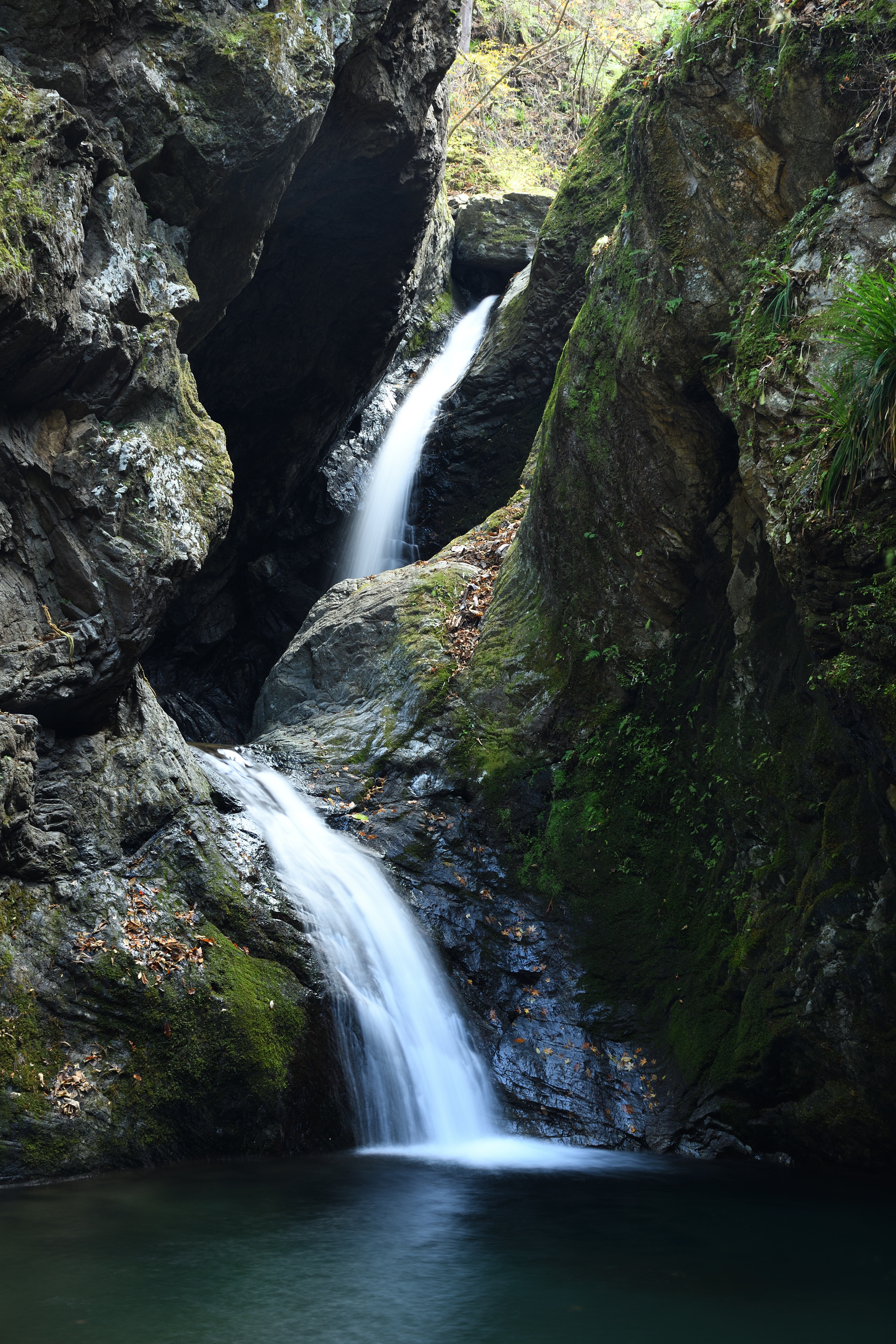 DSC_0779_s