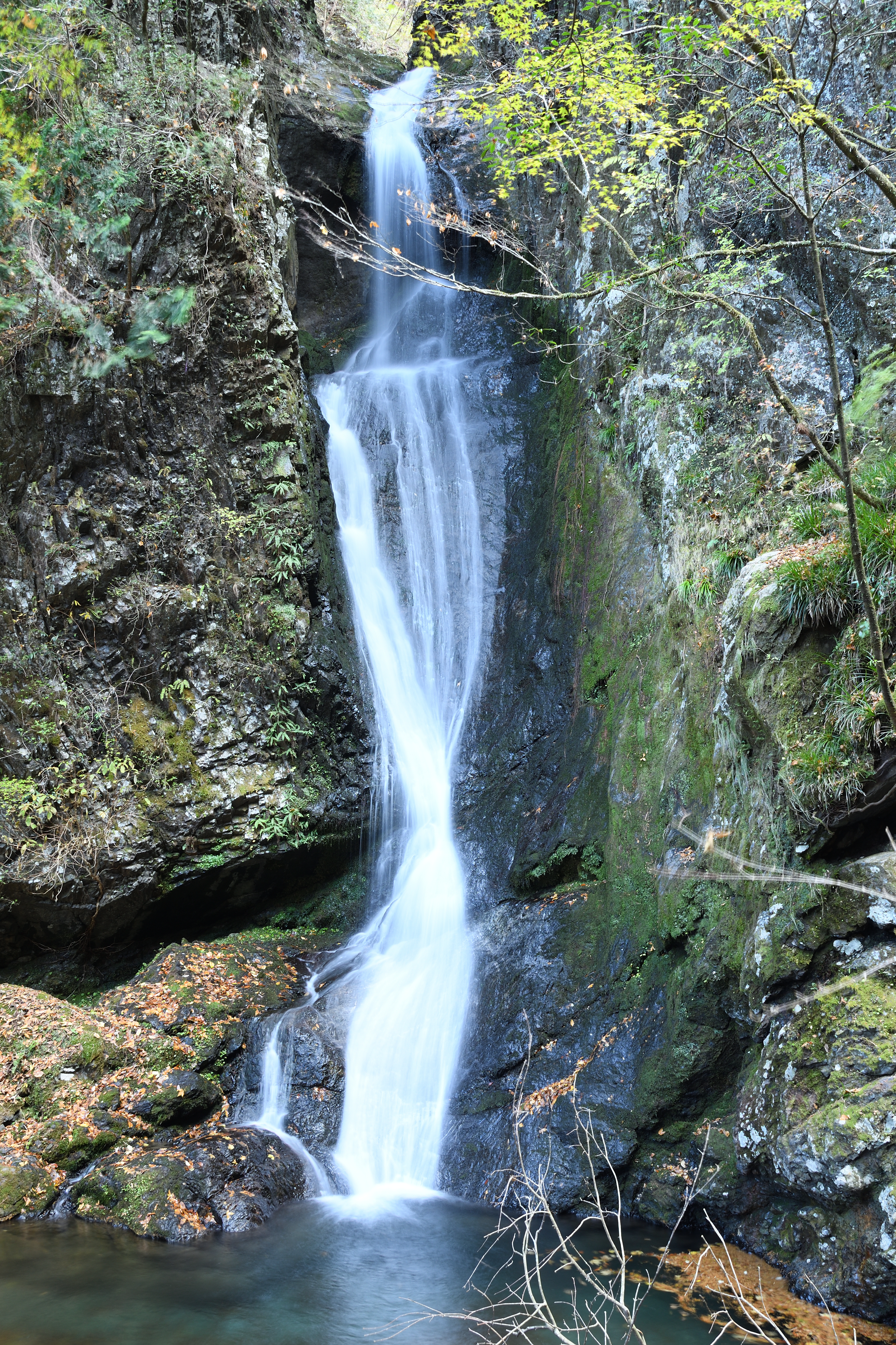 DSC_0819_s