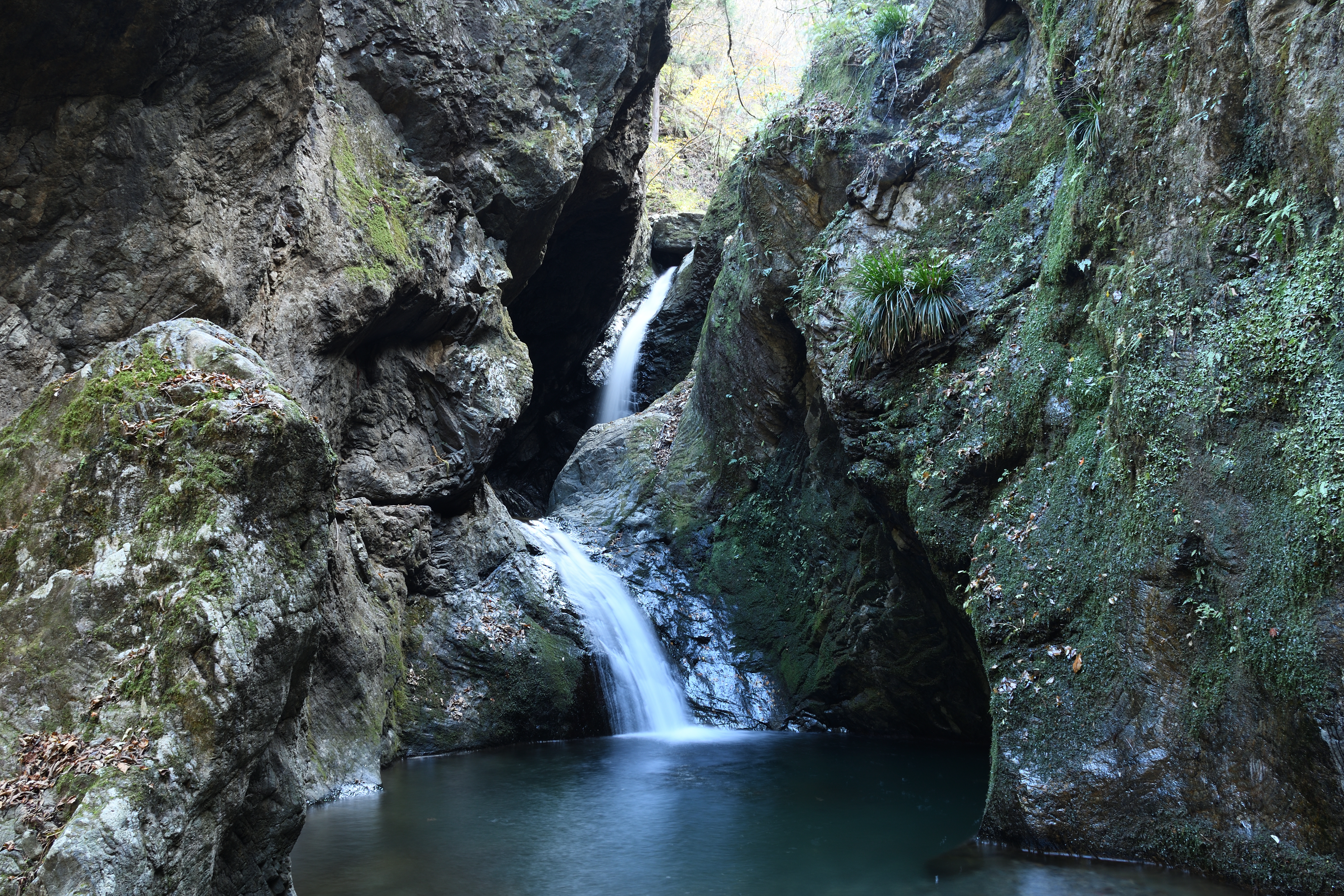 DSC_0777_s
