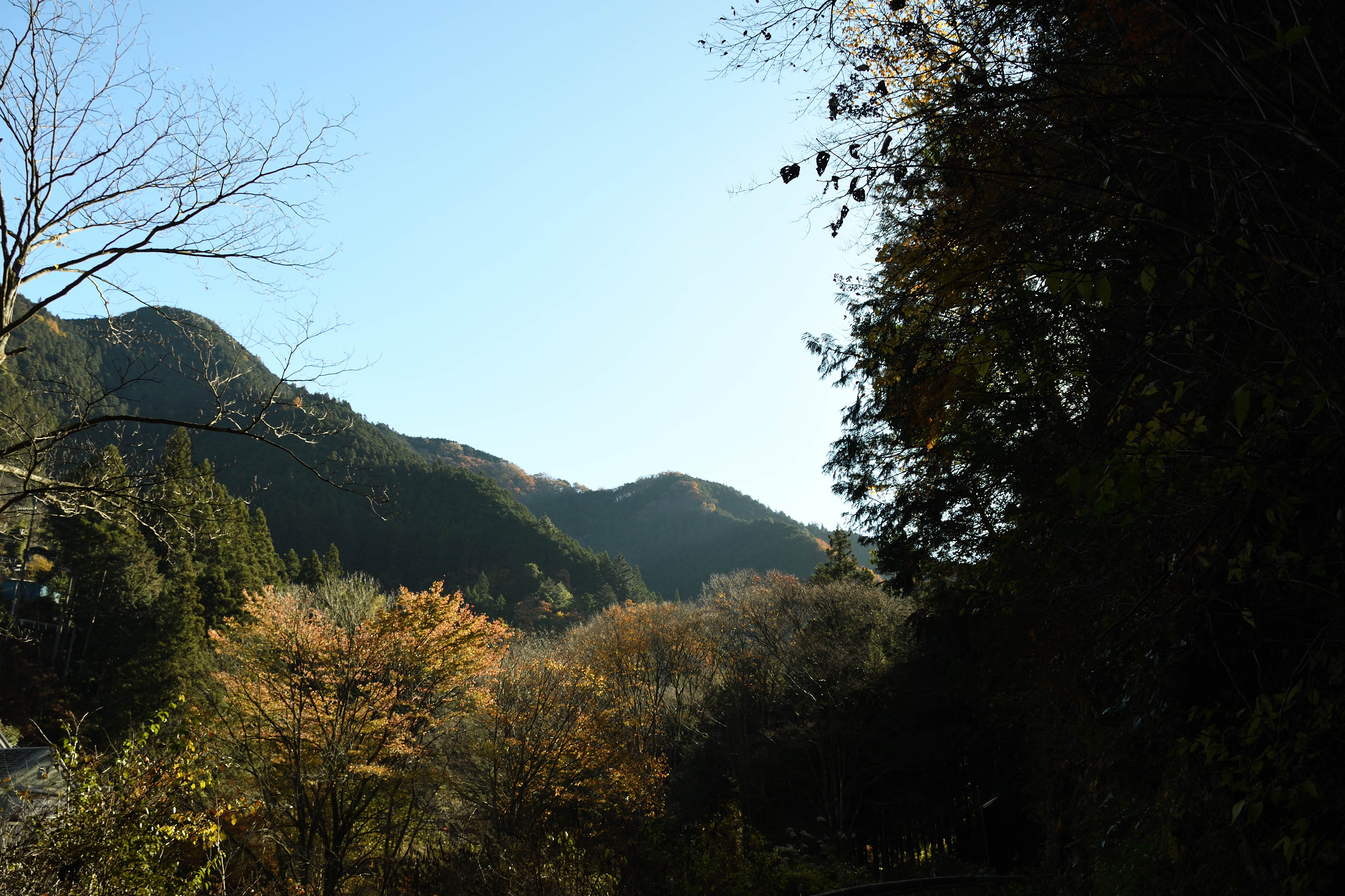 DSC_0589_s