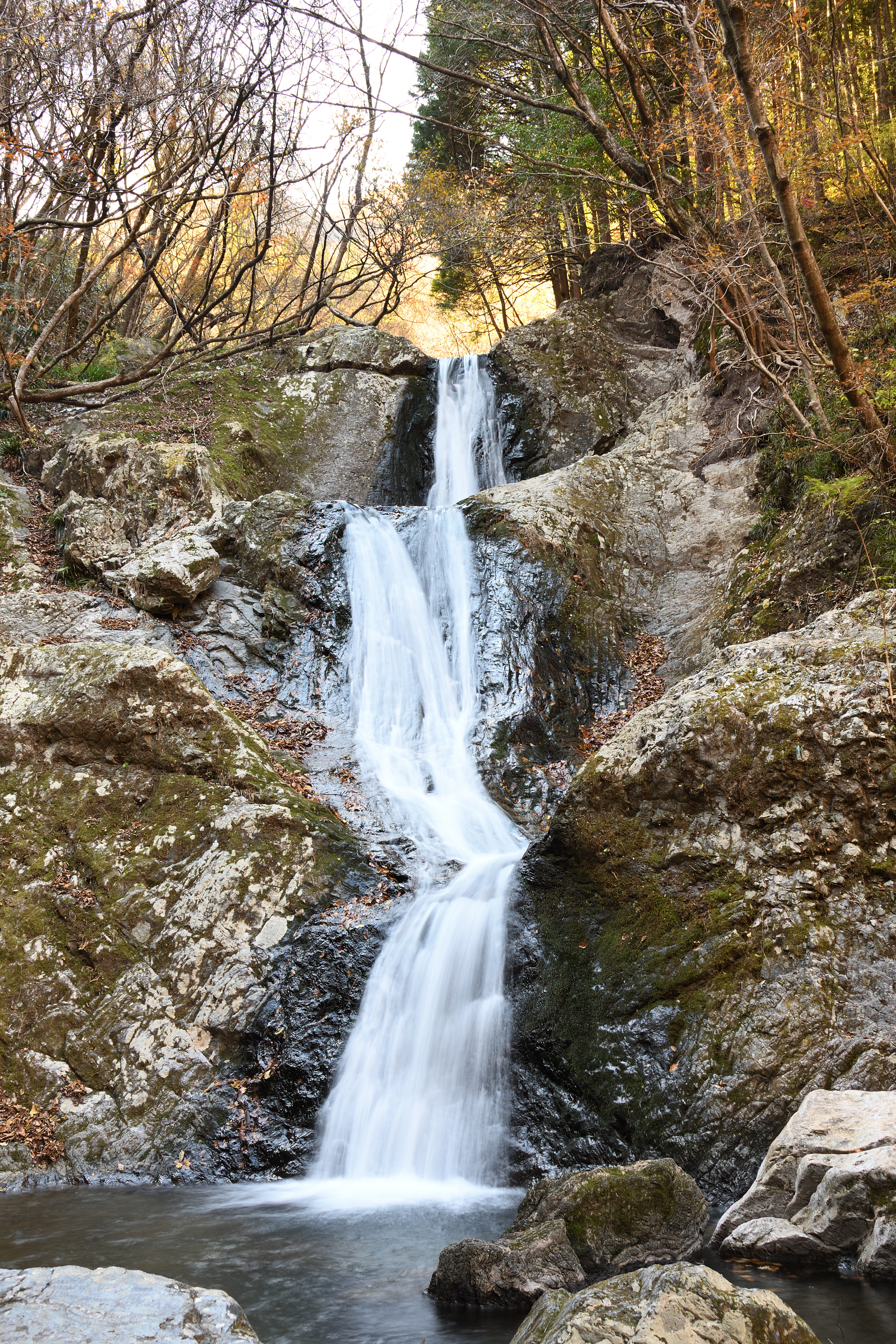 DSC_0741_s