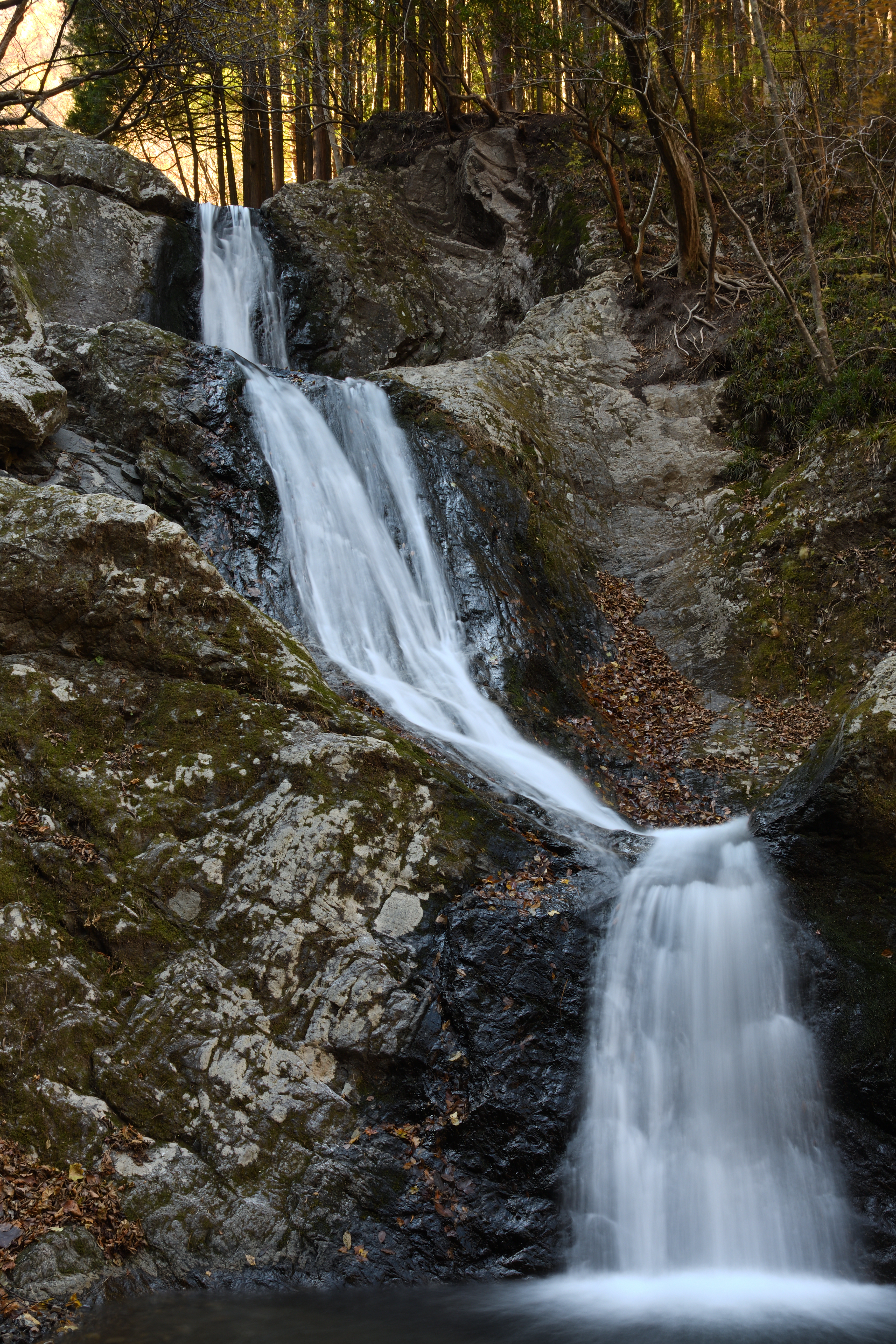 DSC_0733_s