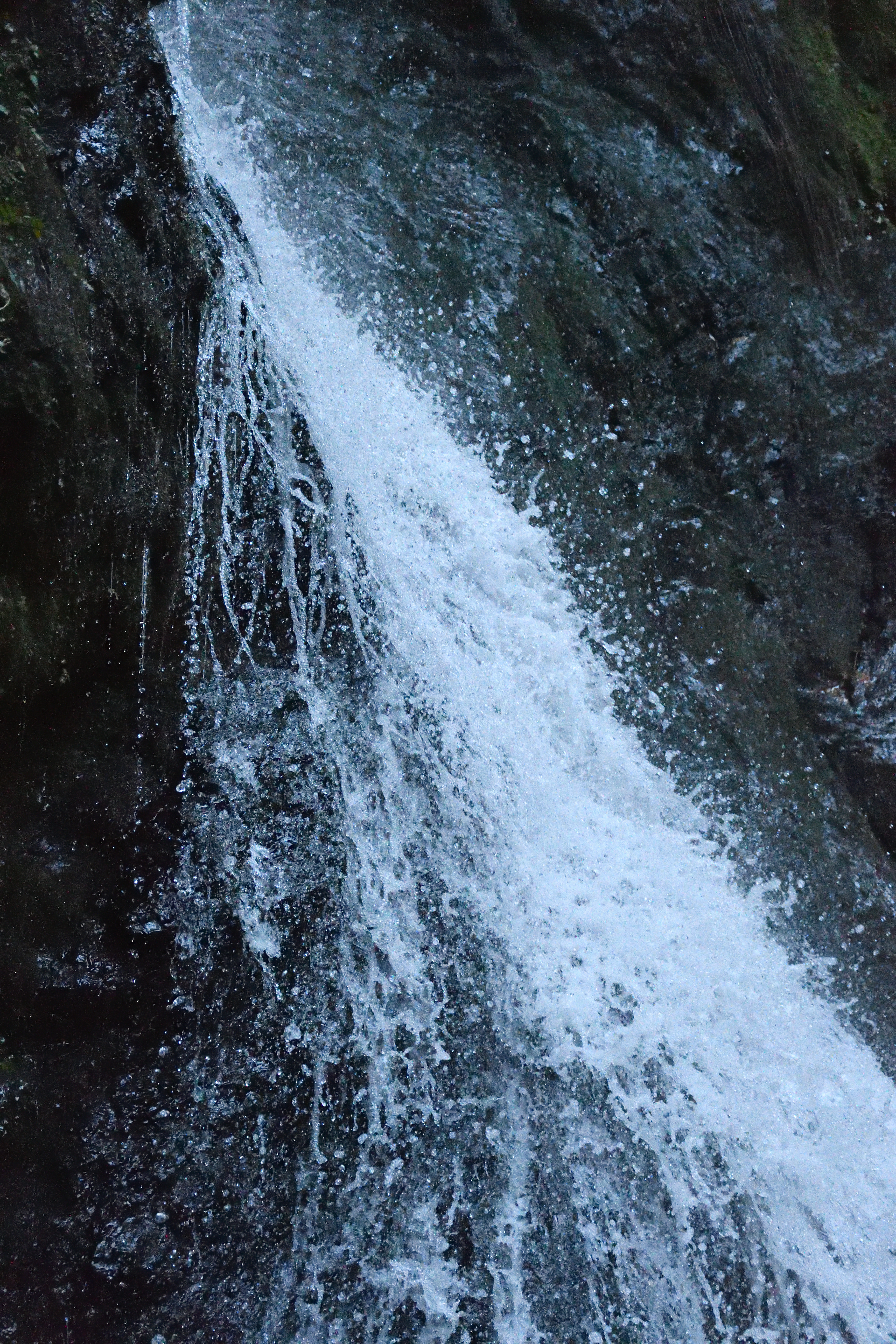 DSC_0802_s