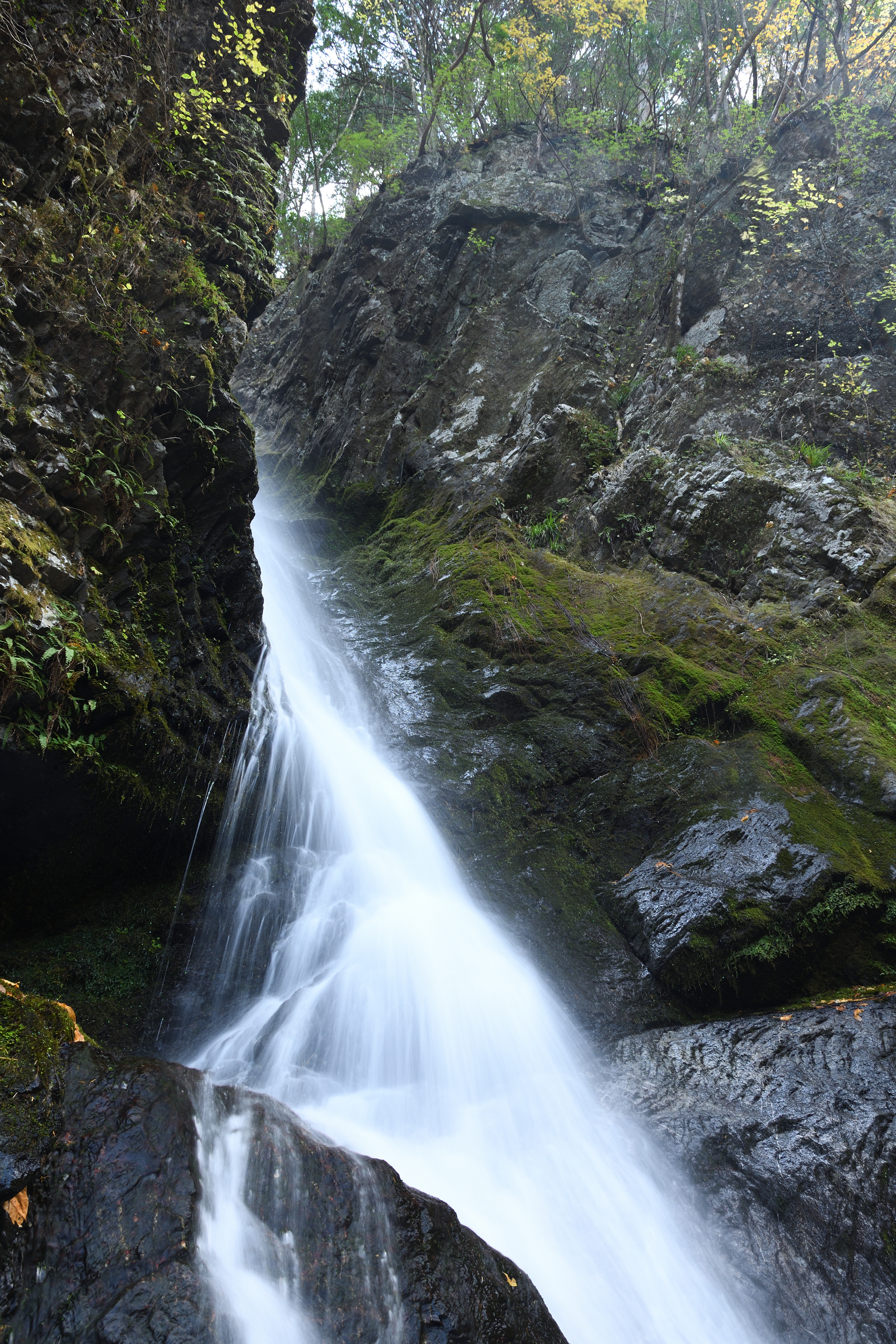 DSC_0870_s