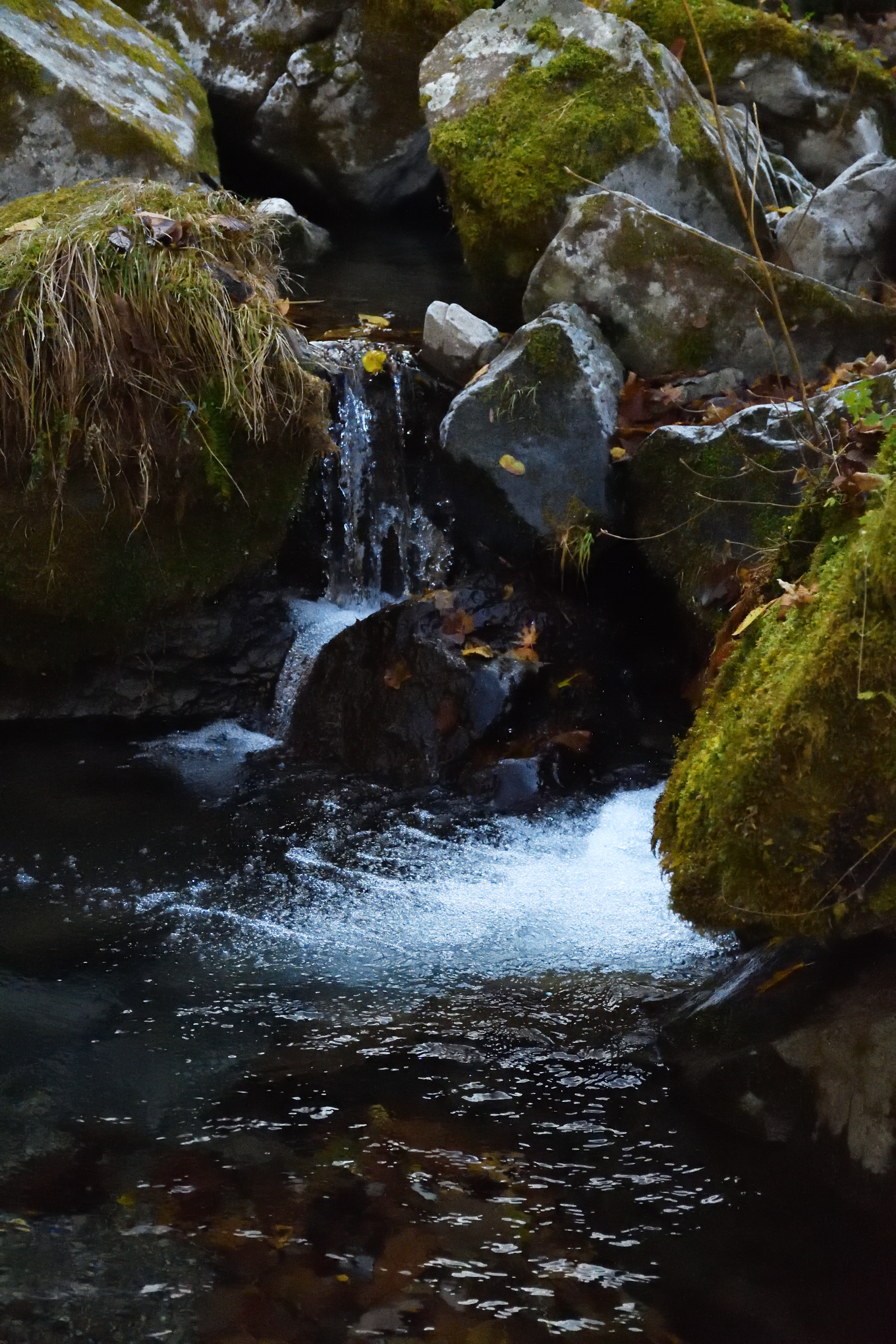 DSC_0711_s