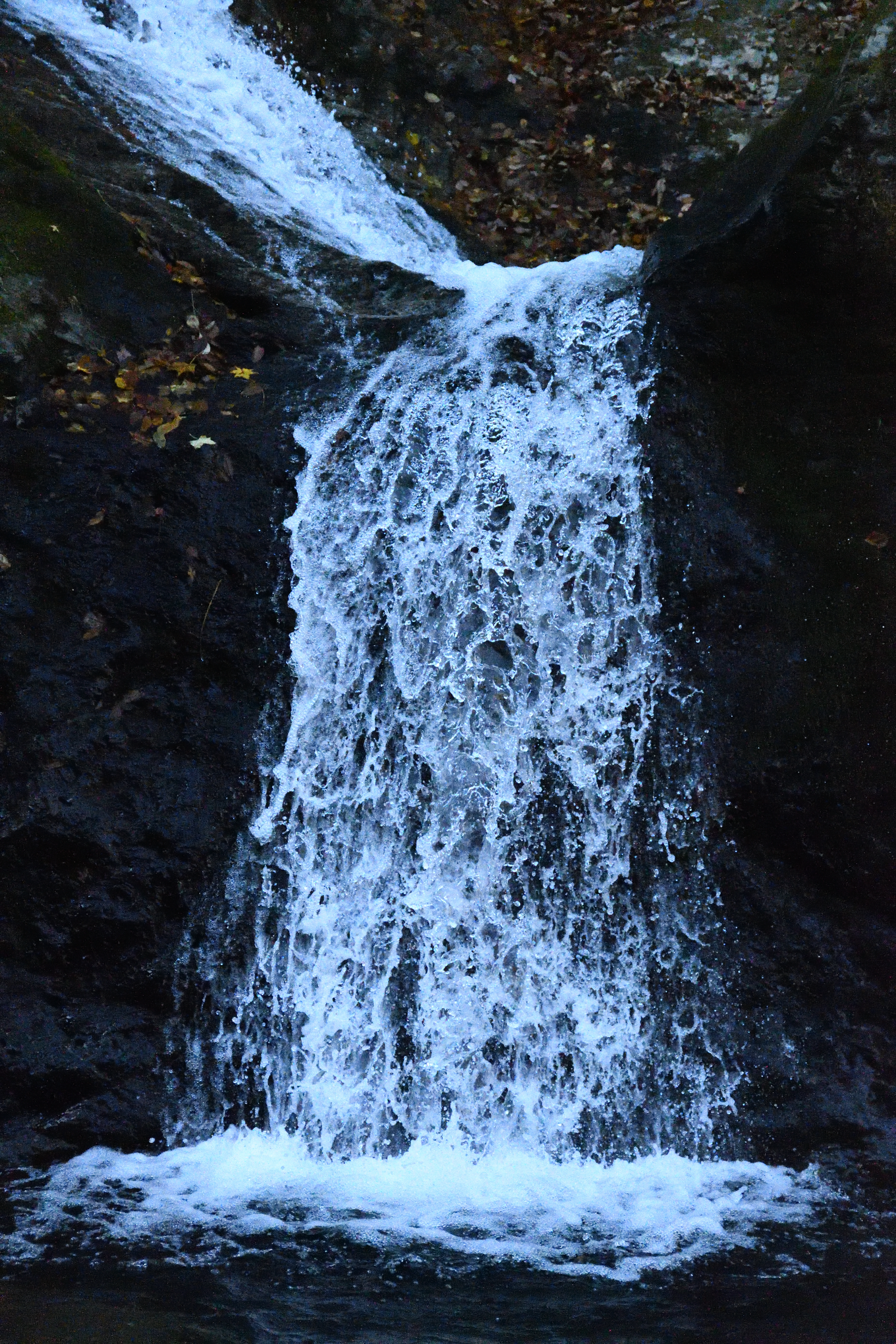 DSC_0717_s