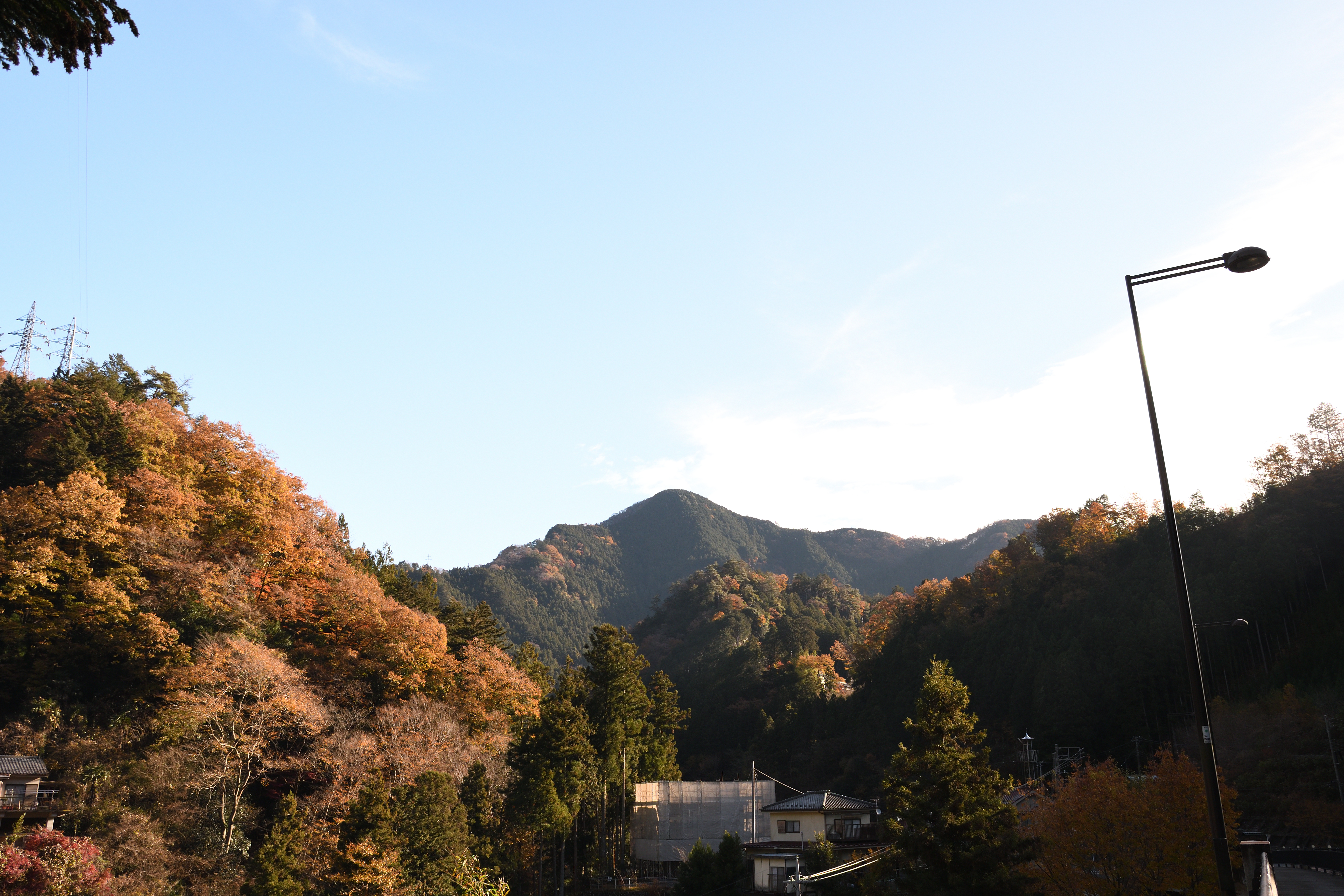 DSC_0557_s