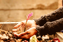 Bonnie-the-four-elements-earth-air-fire-