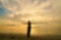 sunset-3726025_1920.jpg