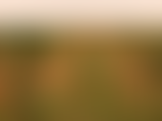 [Nouveau site de présentation]