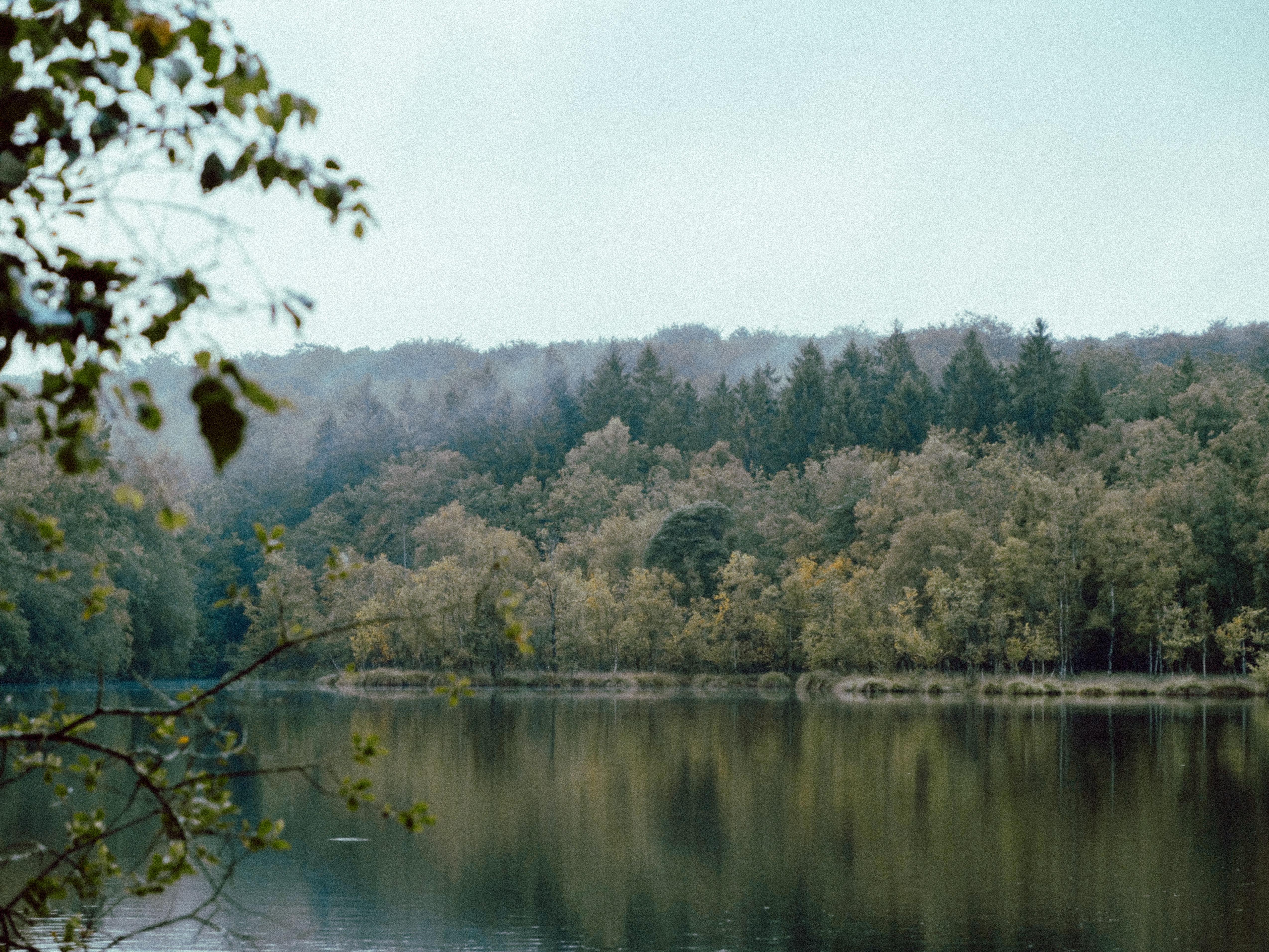 Le lever du jour au bord de l'eau