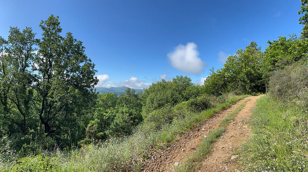 27 B thérapie EMDR hypnose.png