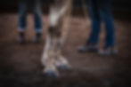 image1 (3).jpeg