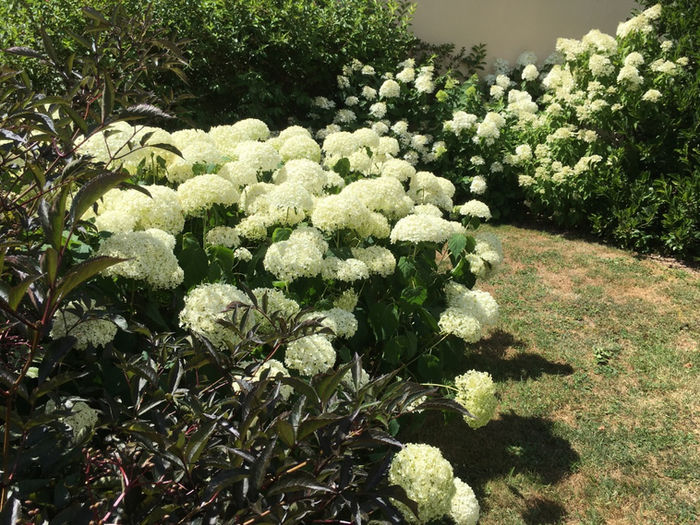 Jardin remarquable, Les Jardins des Soussilanges