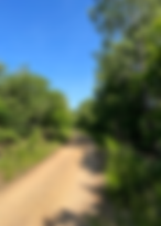 11 thérapie EMDR hypnose.png