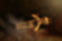 voodoo-doll-5972908_1920.jpg