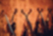20240121-Philharmonie-Finale_Luthiers-116.jpg